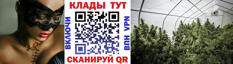 Наркотические вещества Бородино Гашиш  Каннабис  Псилоцибиновые грибы  МЕФ  A PVP 