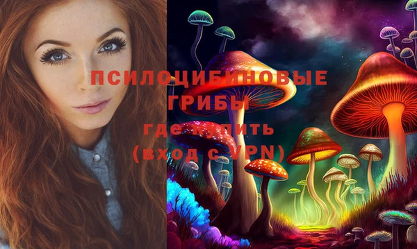 спиды Белокуриха