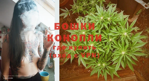 стаф Снежногорск