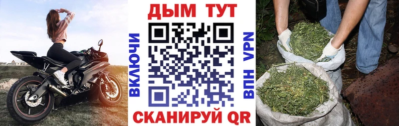 Канабис Bruce Banner  магазин продажи наркотиков  Бородино 